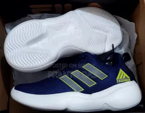 An extraordinary shoe