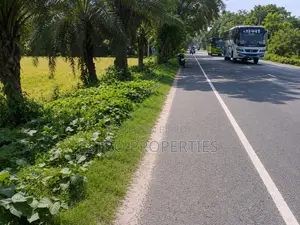 16 Bigha land for sale at Kudir Bottola, Khulna