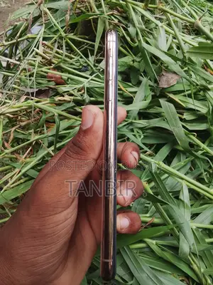 Apple iPhone XS Max 256 GB Rose Gold