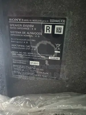 Sony Shake X30d