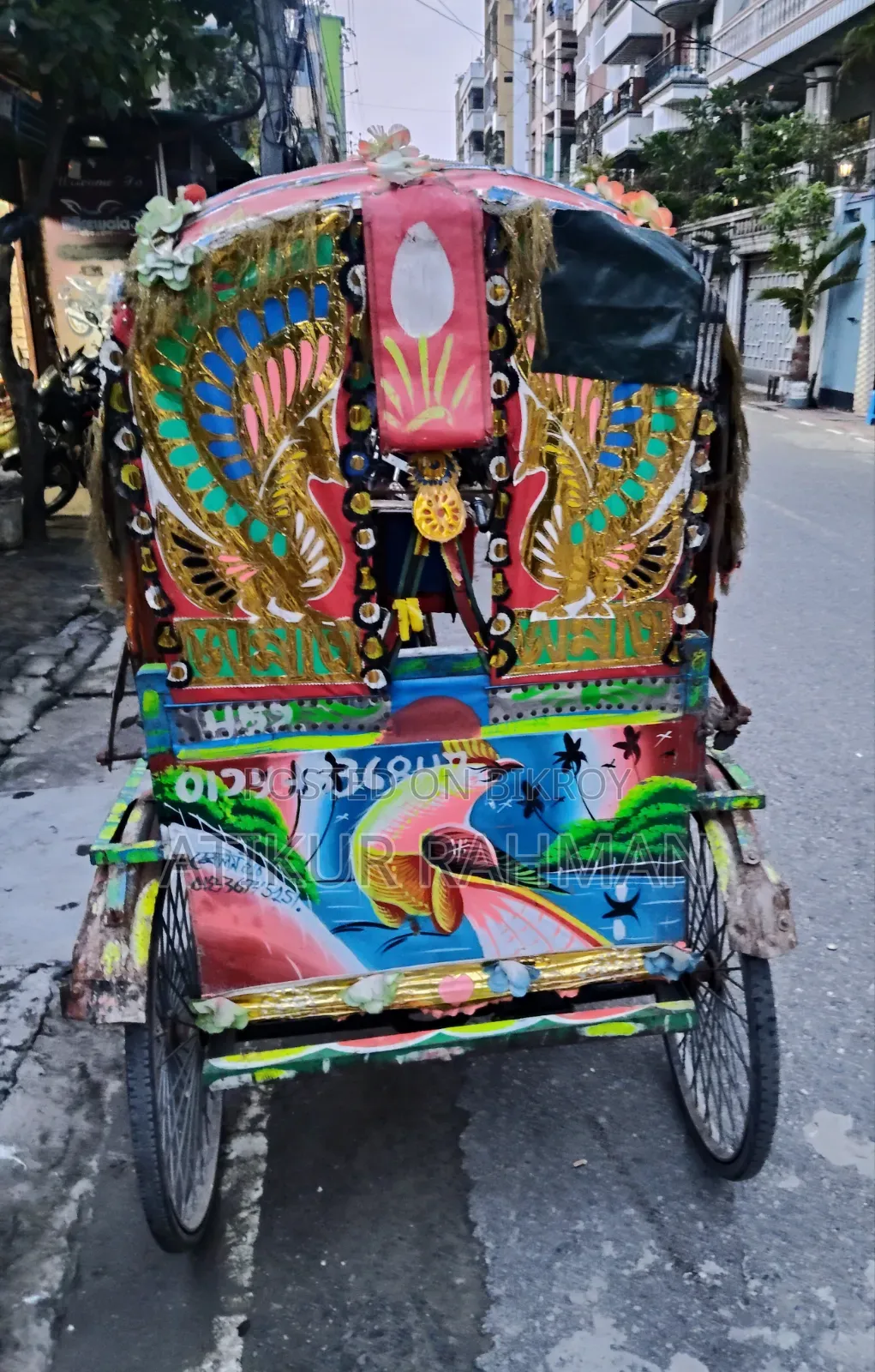 Auto-rickshaw Red Green Color
