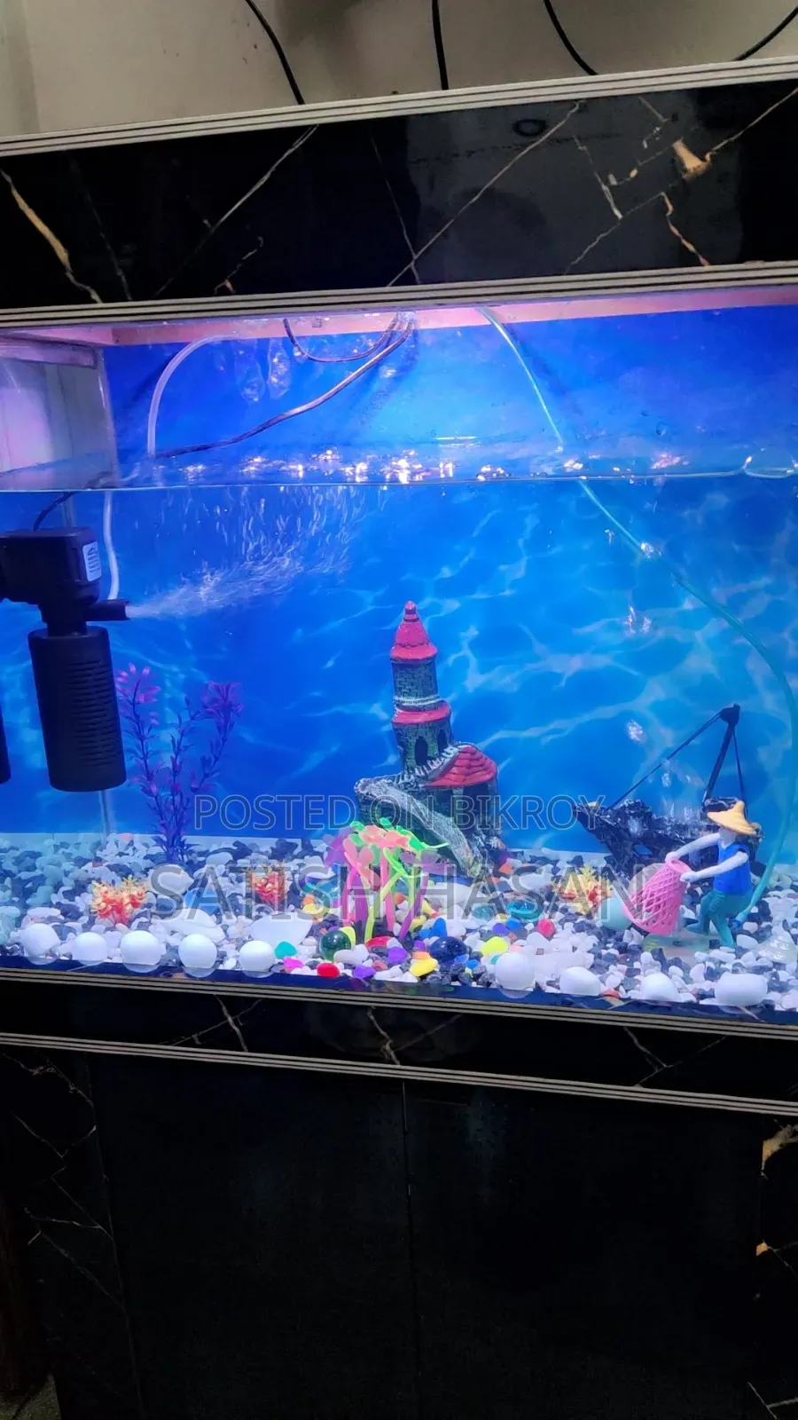 Aquarium And Fish