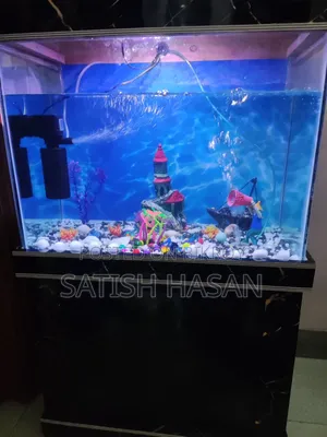 Aquarium And Fish