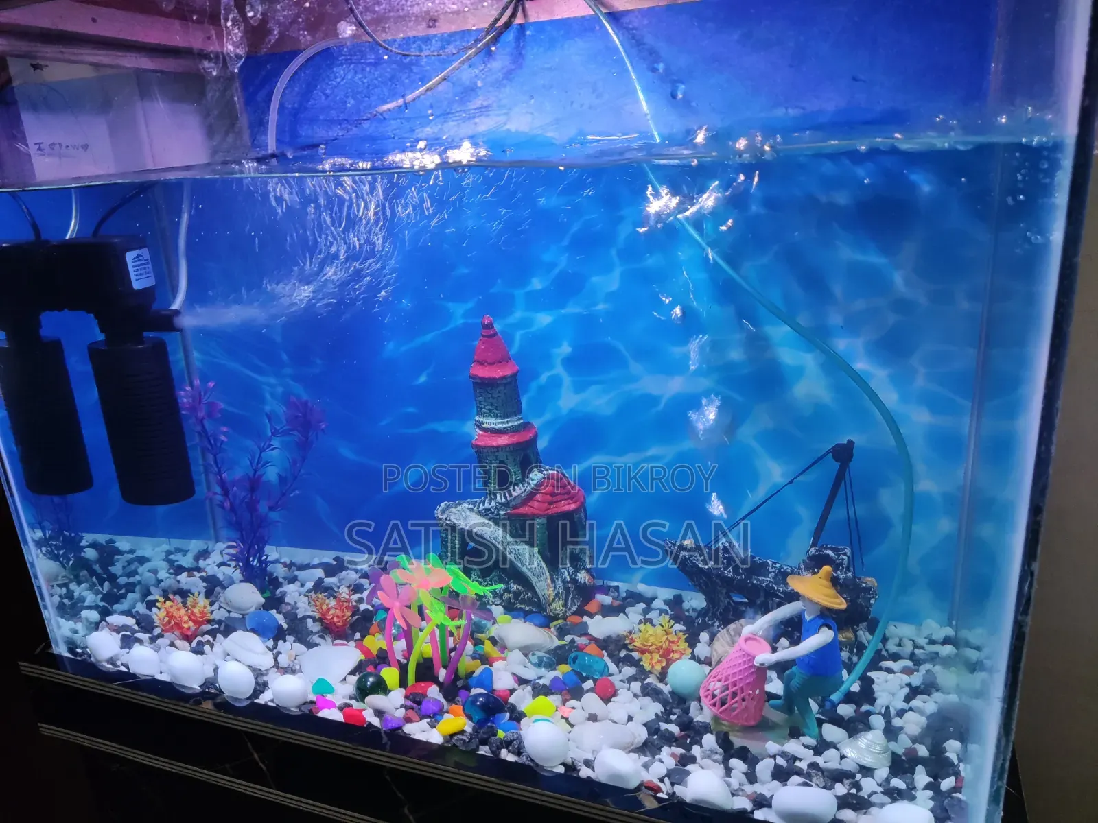 Aquarium And Fish