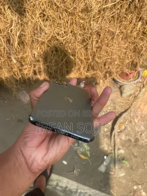 Apple iPhone 11 Pro Max 256 GB Gray