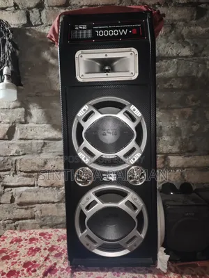 Skyview Dj Professional Sound Box (Double Woofer) – ভালো কন্ডিশন