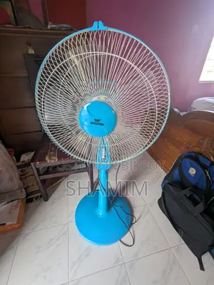 Walton Stand Fan