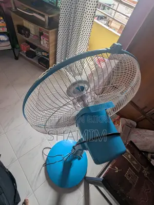 Walton Stand Fan