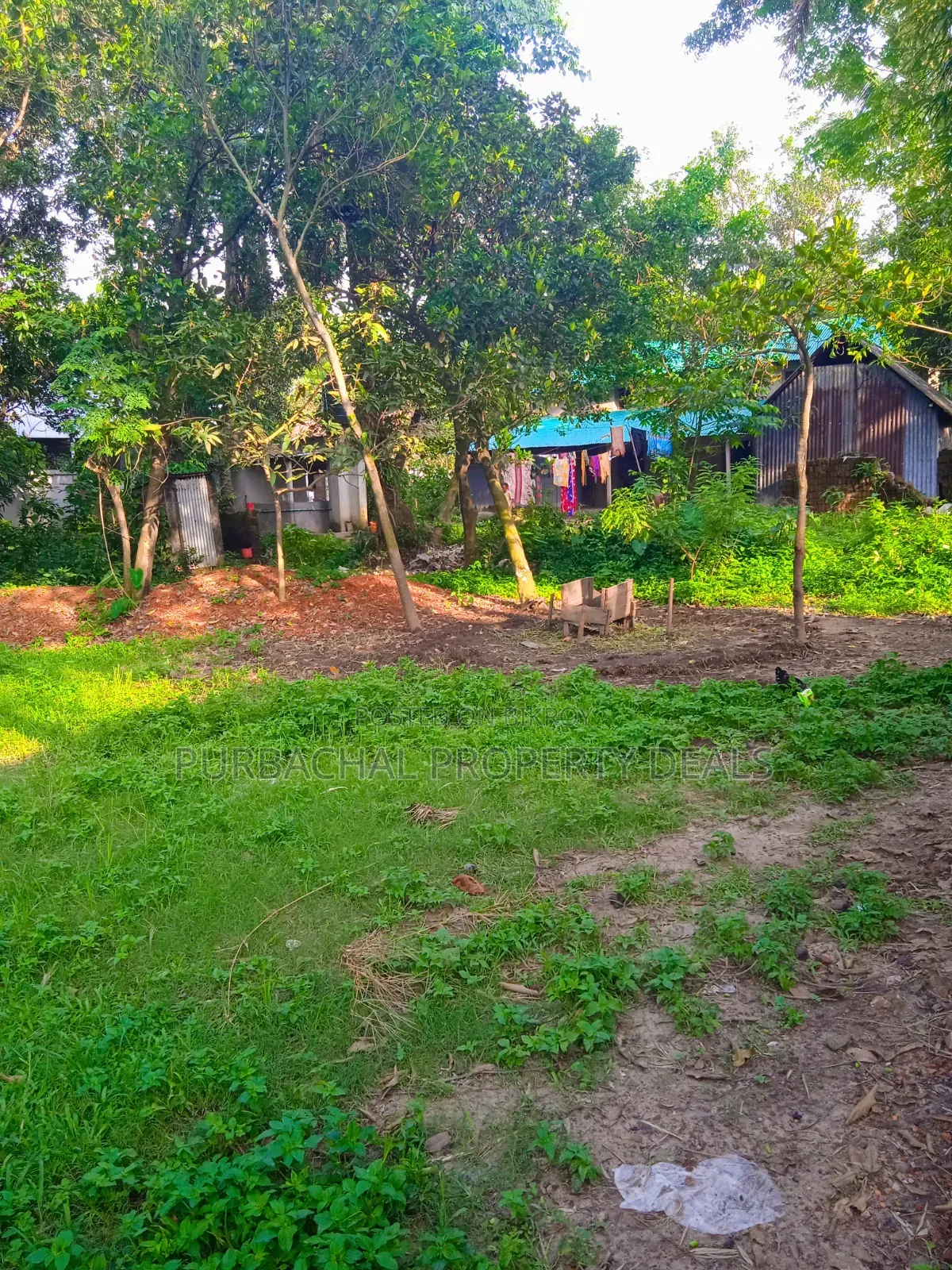 12 Decimal Land for Sale with Mud House and Complete Documents