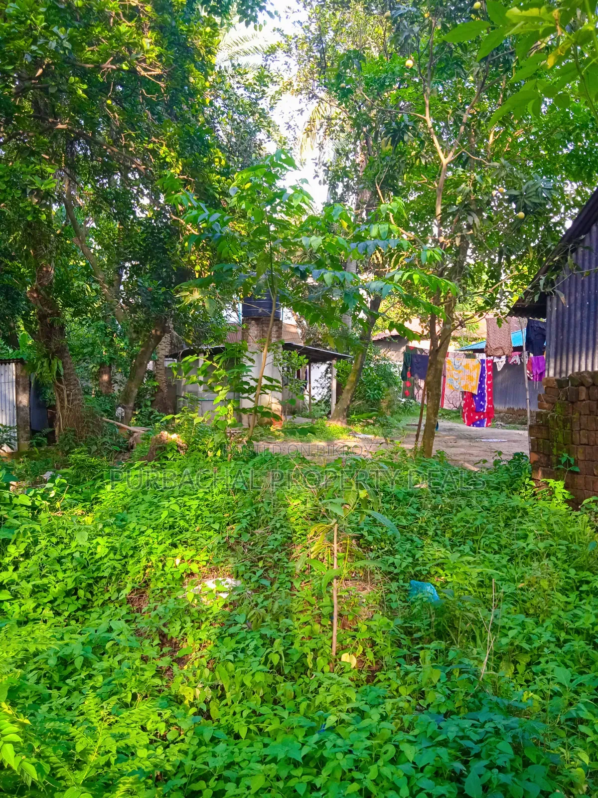 12 Decimal Land for Sale with Mud House and Complete Documents