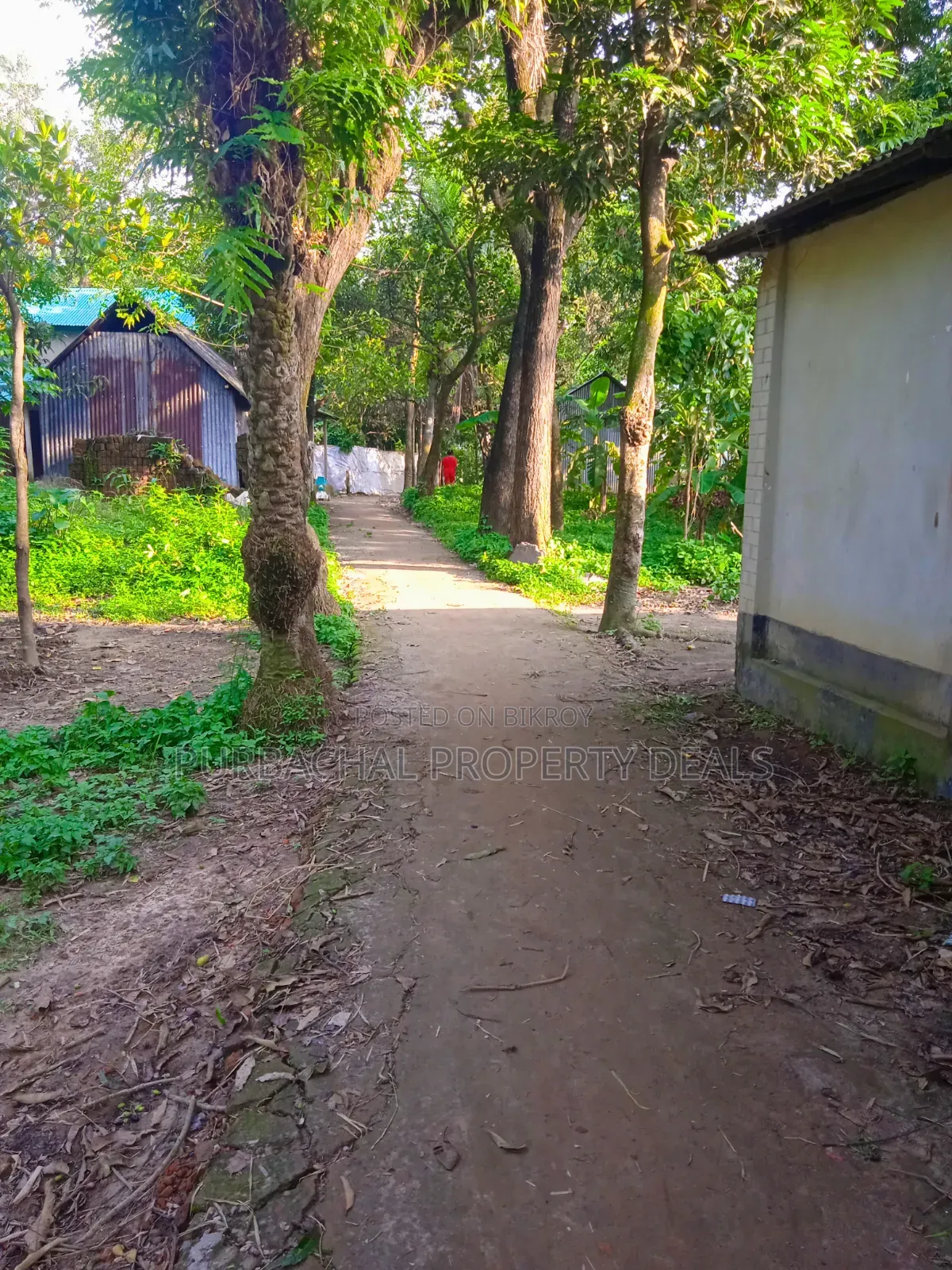 12 Decimal Land for Sale with Mud House and Complete Documents