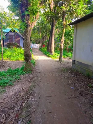 12 Decimal Land for Sale with Mud House and Complete Documents