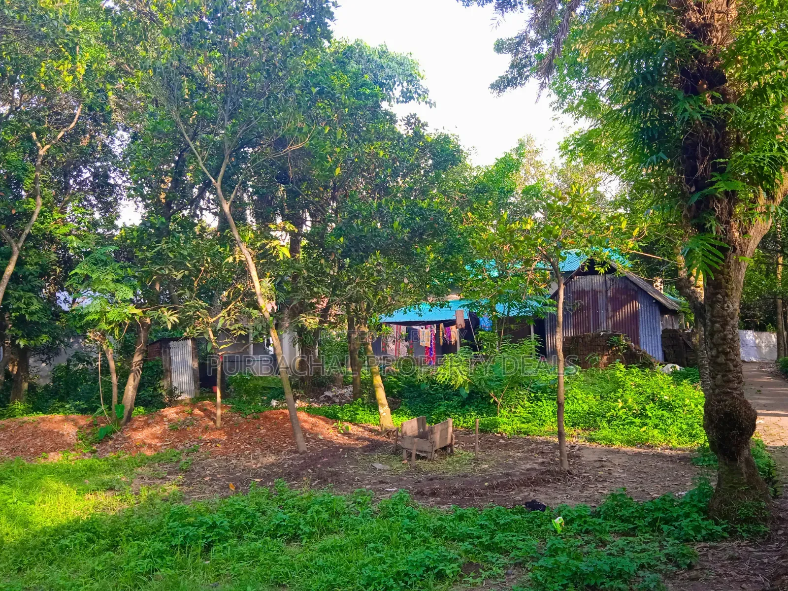 12 Decimal Land for Sale with Mud House and Complete Documents