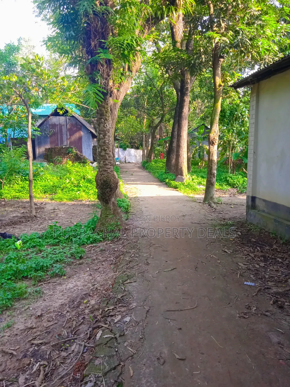 12 Decimal Land for Sale with Mud House and Complete Documents