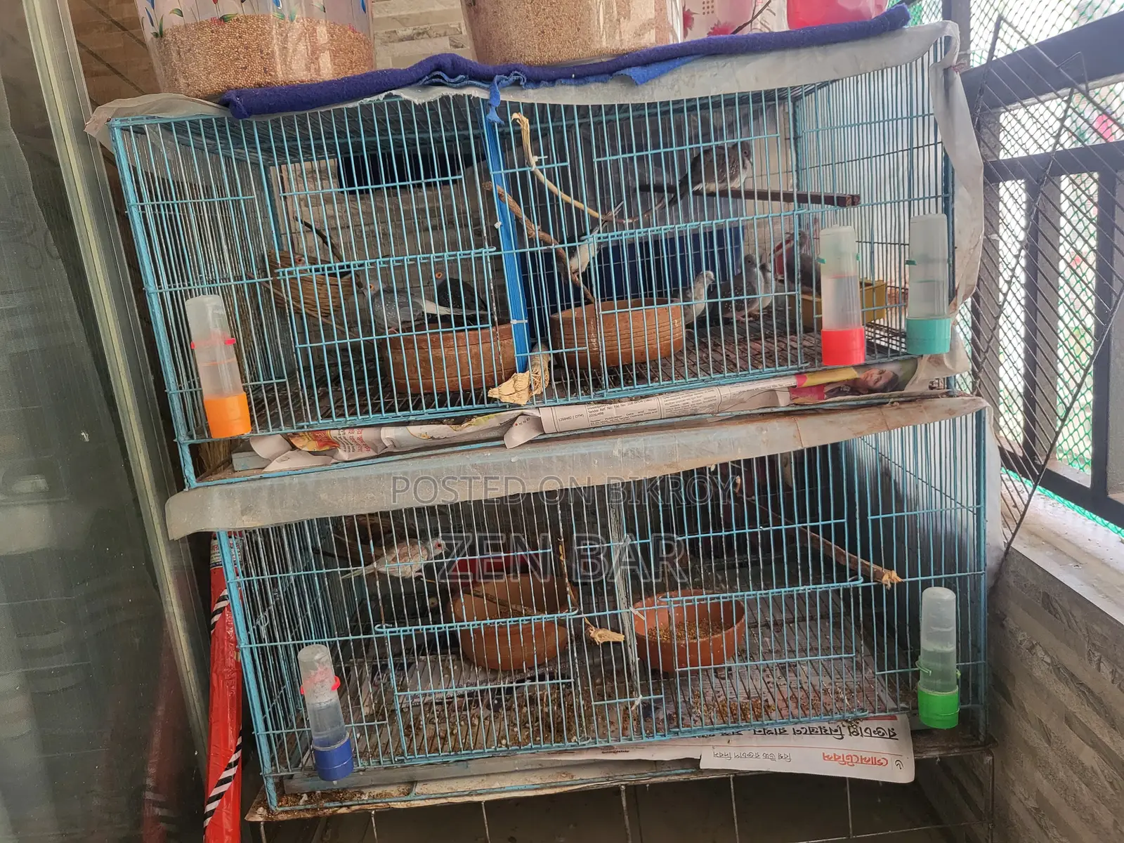 Mirpur Bird Cage for Sale. Two bird cages for sale