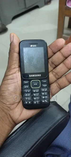 Samsung Guru Music 2 Gray