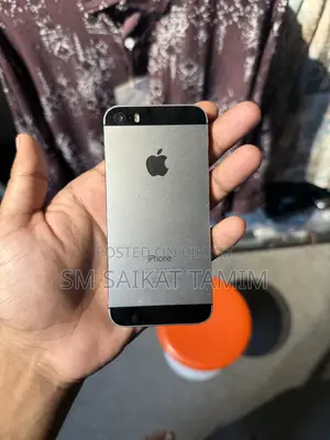 Apple iPhone 5s 16 GB Gray