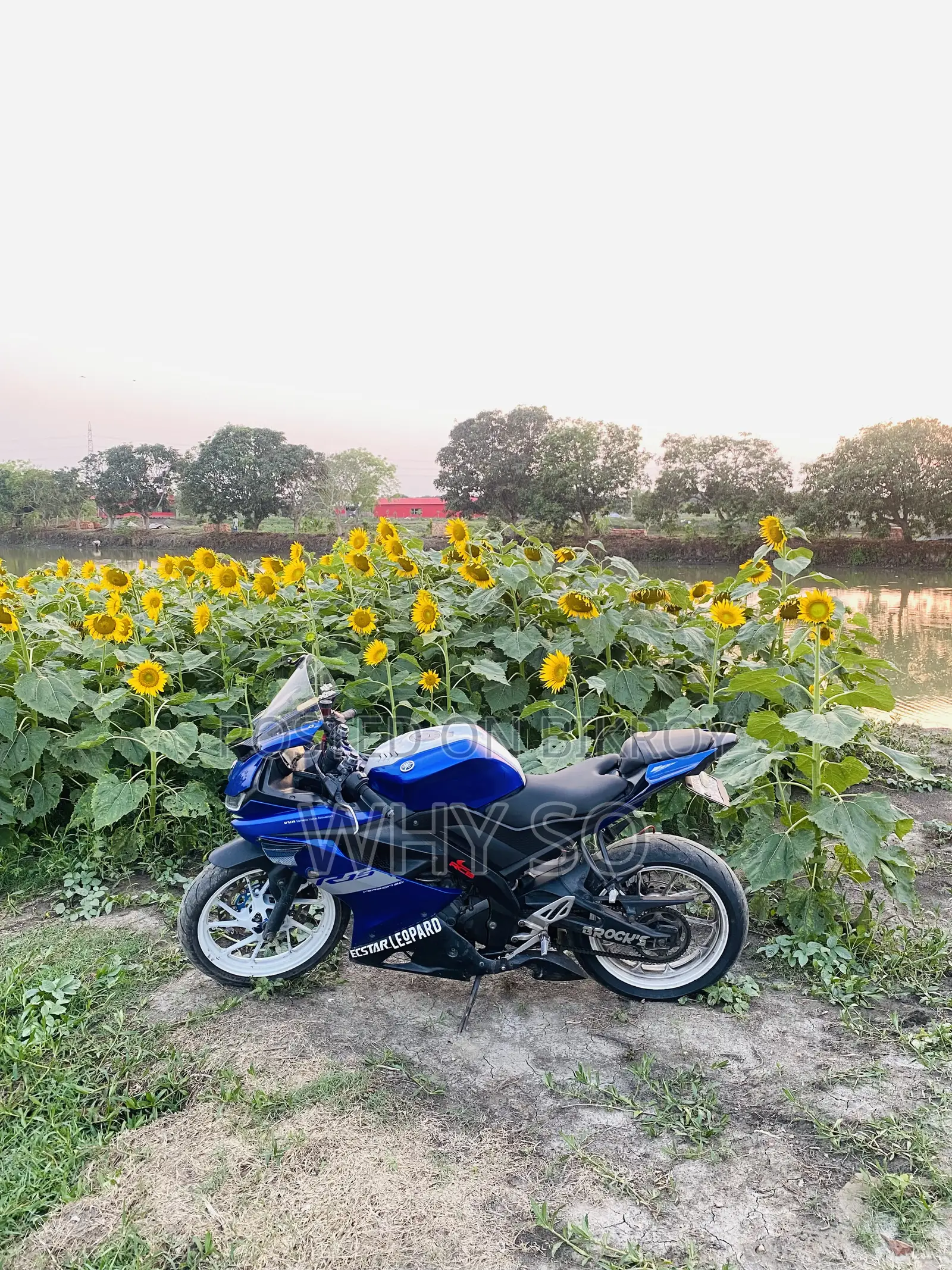 Yamaha YZF-R 2020 Blue