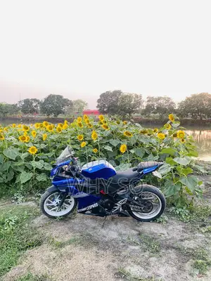 Yamaha YZF-R 2020 Blue