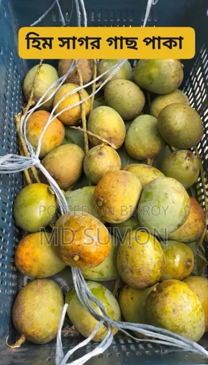 হিমসাগর আম