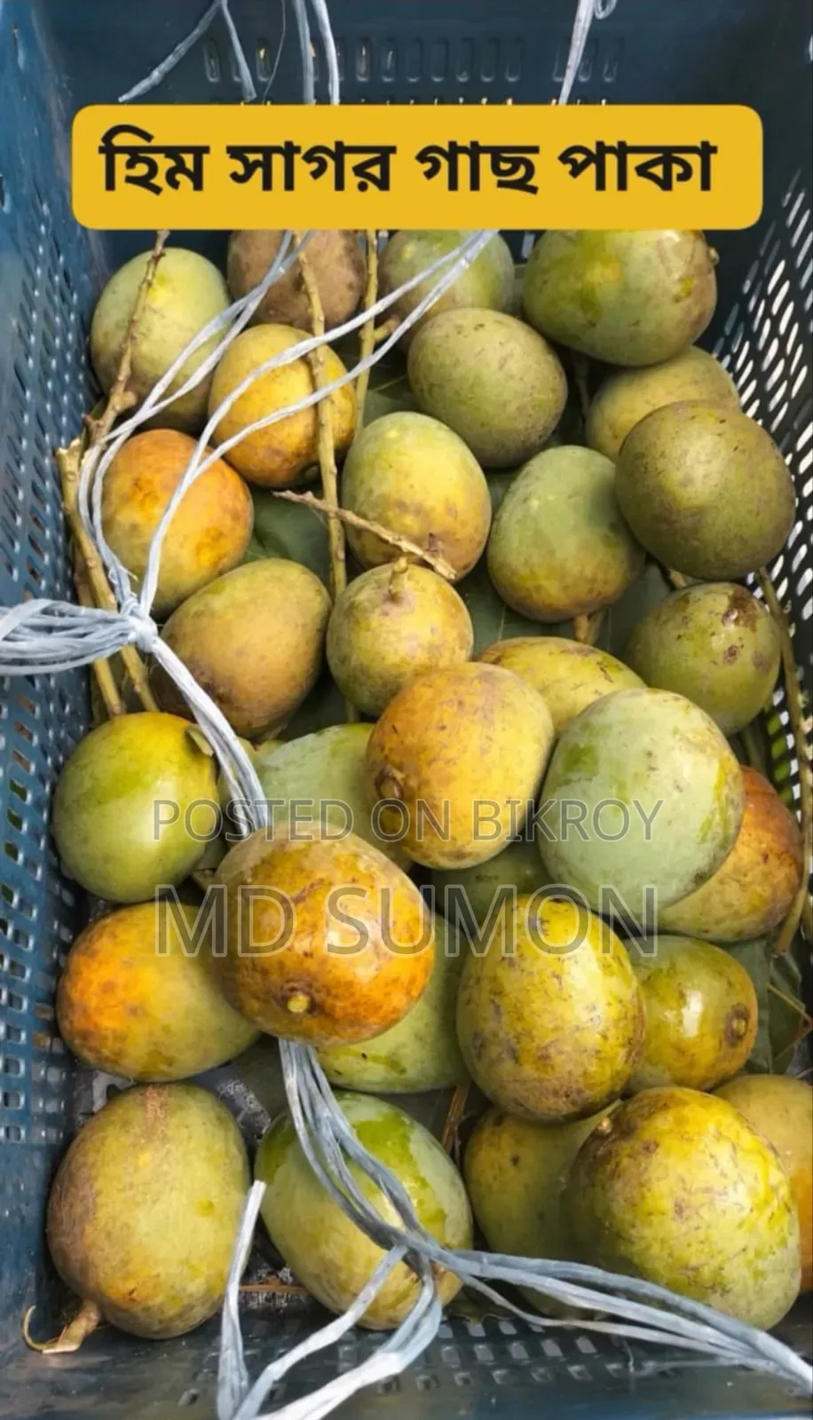 Himsagar Mango
