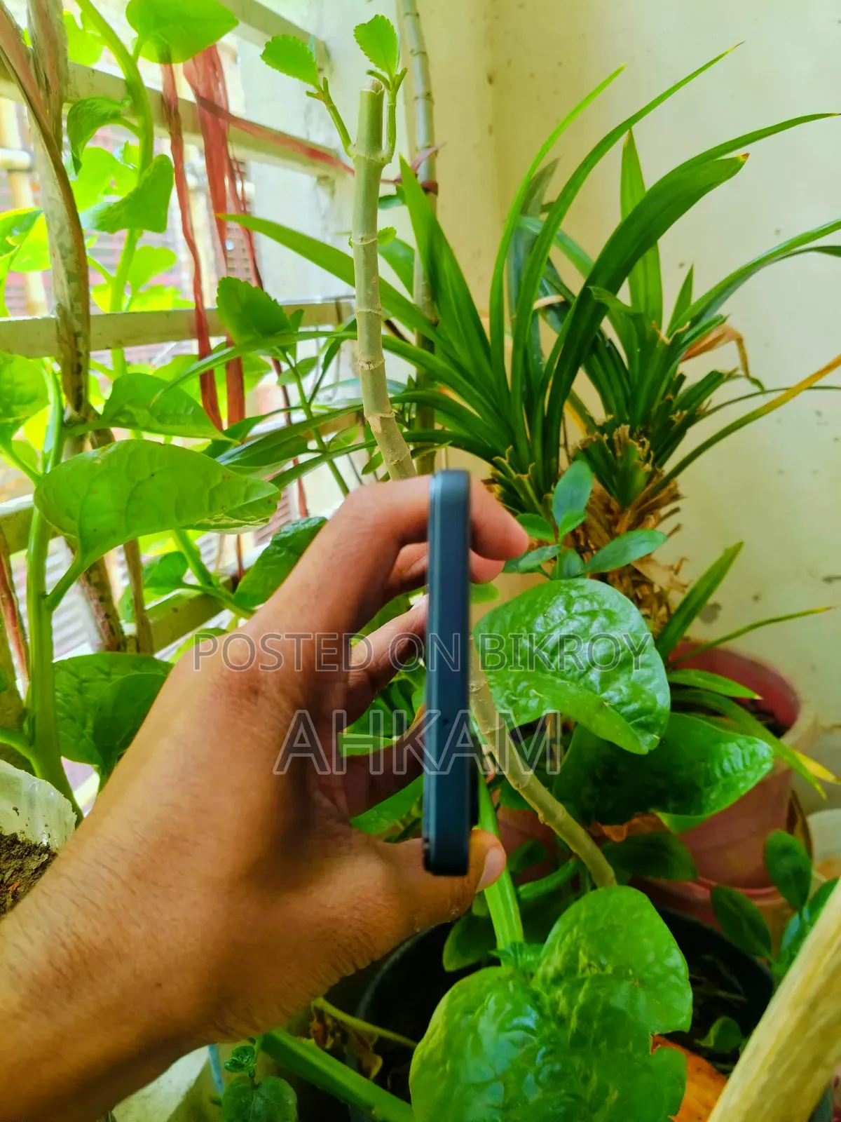 New Honor X6b 128 GB Black
