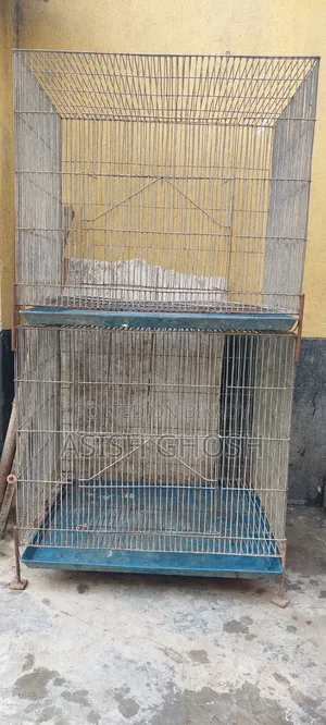 পাখির খাঁচা