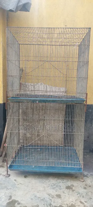 পাখির খাঁচা