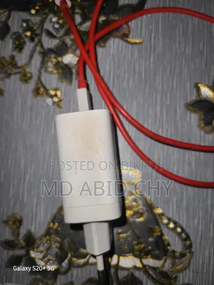 Oneplus 33 Watt Charger