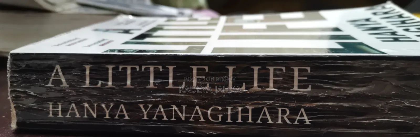 Book: A Little Life