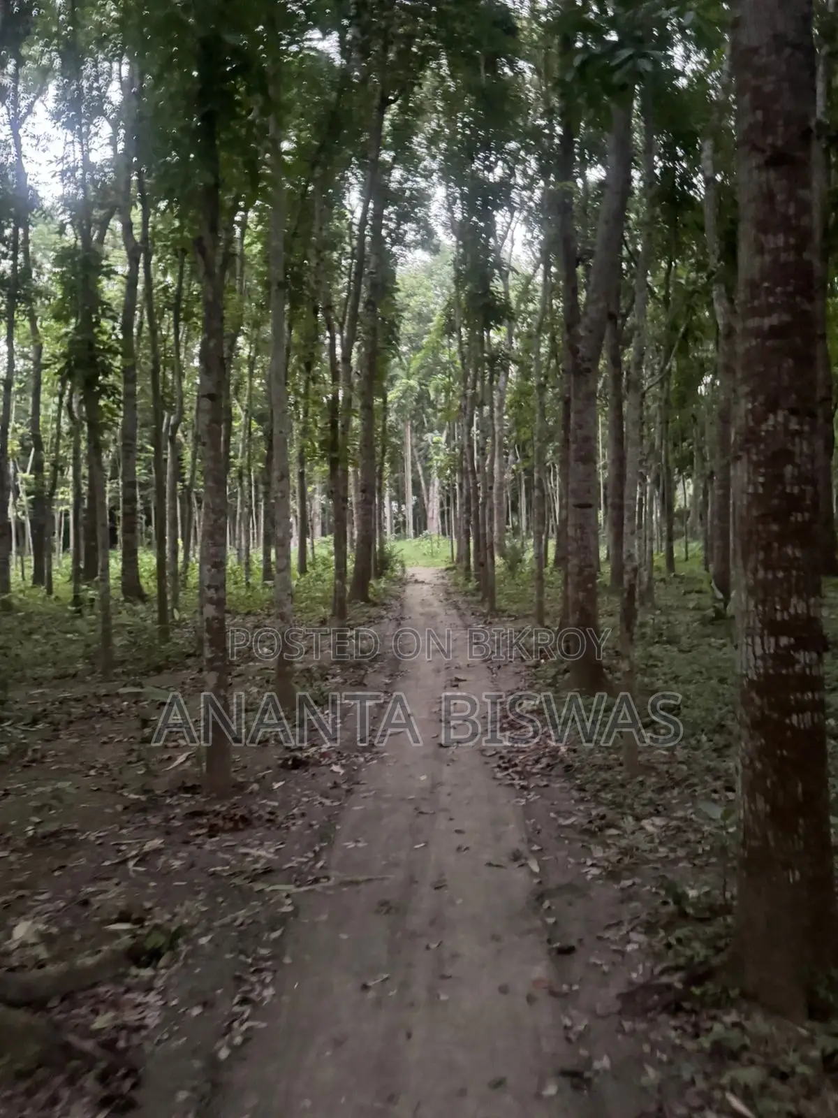 মাগুরায় বিক্রয়ের জন্য বড় জমির এলাকা