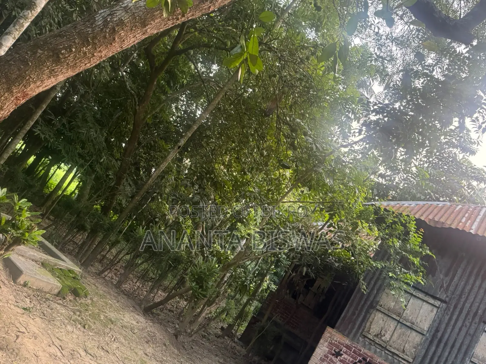 মাগুরায় বিক্রয়ের জন্য বড় জমির এলাকা