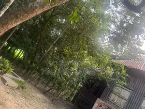 মাগুরায় বিক্রয়ের জন্য বড় জমির এলাকা