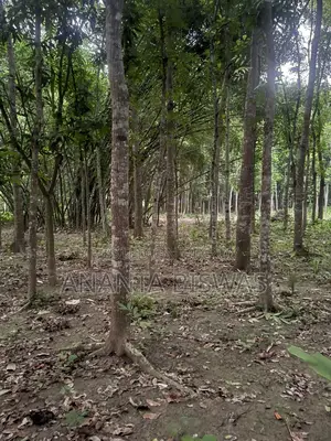 মাগুরায় বিক্রয়ের জন্য বড় জমির এলাকা