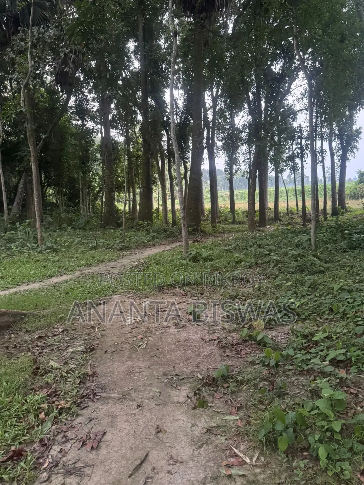 মাগুরায় বিক্রয়ের জন্য বড় জমির এলাকা