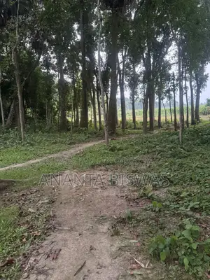মাগুরায় বিক্রয়ের জন্য বড় জমির এলাকা