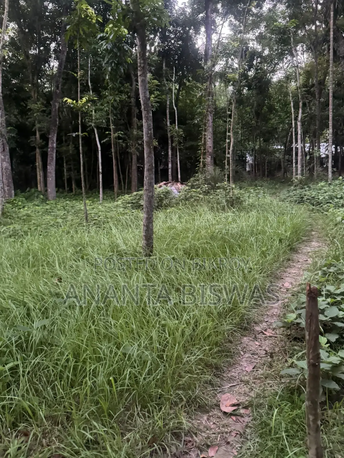 মাগুরায় বিক্রয়ের জন্য বড় জমির এলাকা