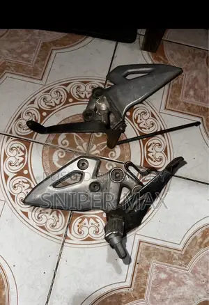 জিএসএক্স-আর ১৫০ স্টক ফুটরেস্ট