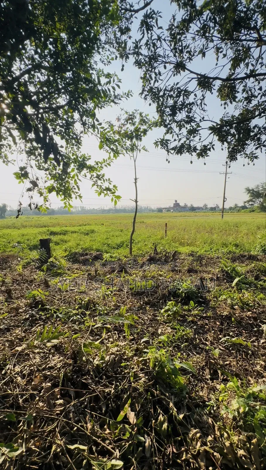 Land for sale beside Majuchowdhuryhat main road.