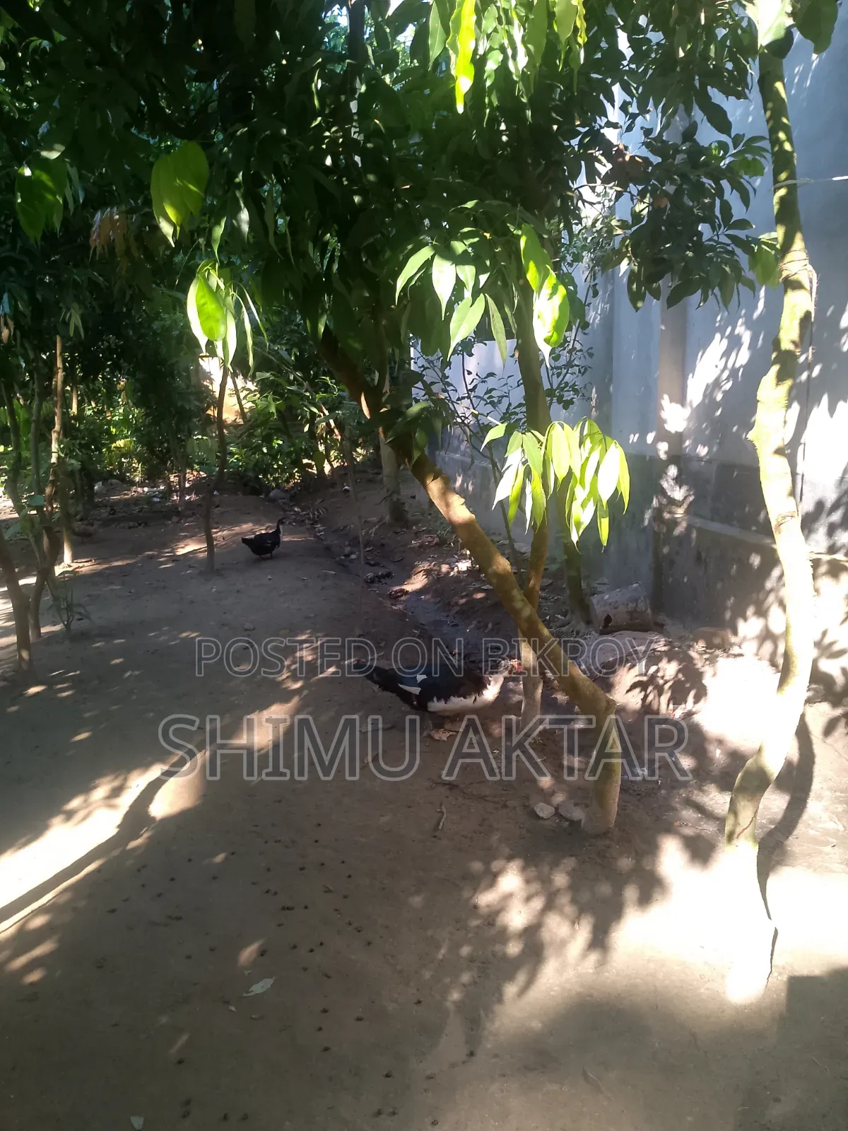Land for sale