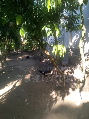 জমি বিক্রয় করা হবে