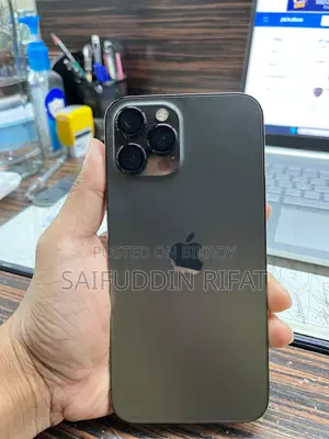 Apple iPhone 12 Pro Max 256 GB Gray
