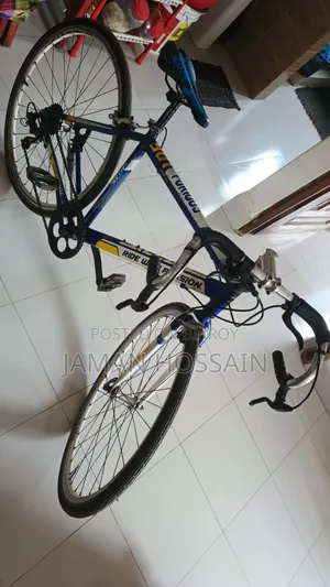 Road Bike Alloy Body