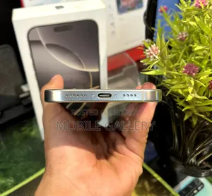 Apple iPhone 16 Pro Max 256 GB Silver
