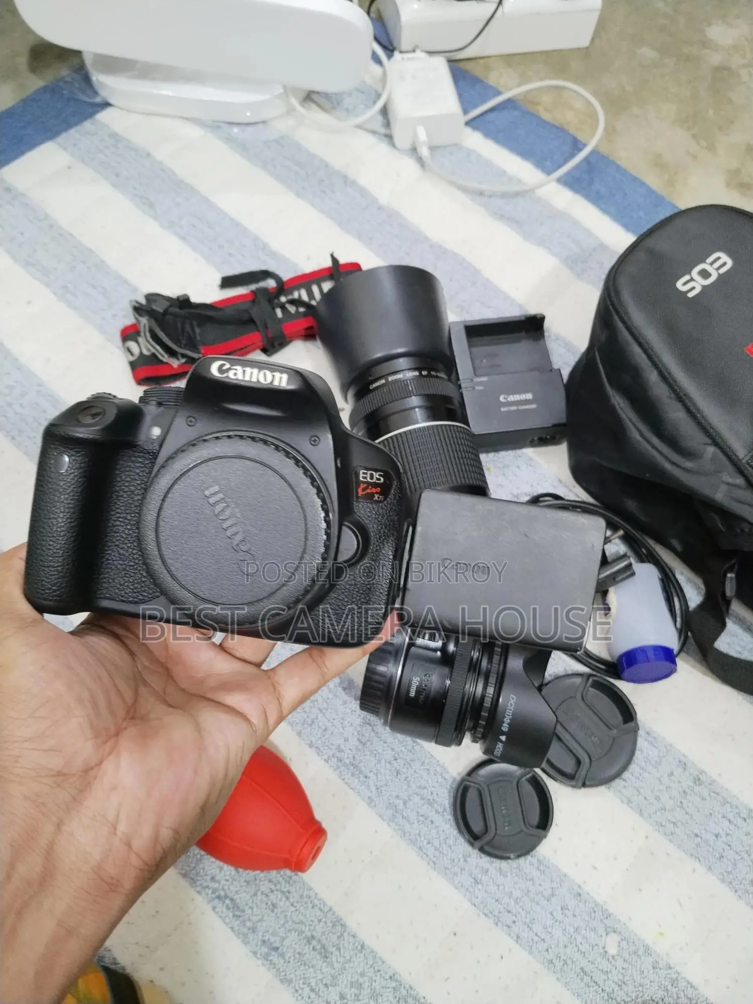 700d+50mm STM + 75-300mm zoom