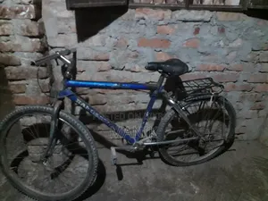 I need money, so I will sell this bicycle.