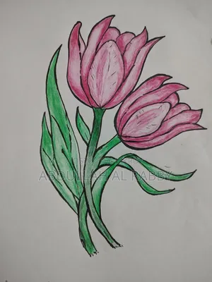 Original Hand Drawing