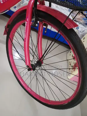 Meghna Ladies Cycle