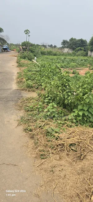 Rajuk Purbachal Sector -11, Allottee Plot 5 Katha