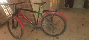 Old Bicycle Fresh Condition